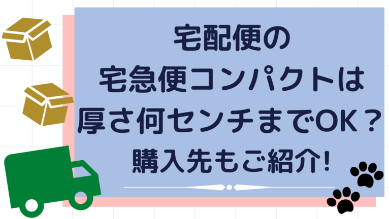 10/25限！確率1/2☆最大100%Ｐ還元】【ポイント2倍】【個人宅配送不可