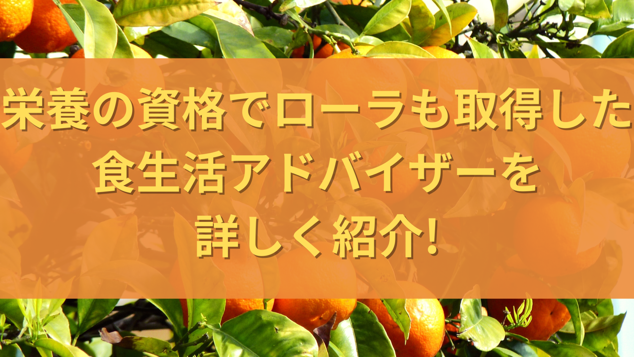 栄養の資格でローラも取得した食生活アドバイザーを詳しく紹介 オンライン総合研究所